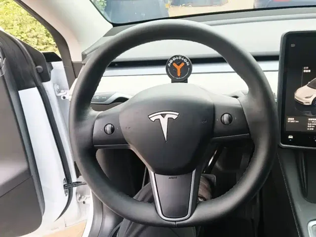 Tesla Model Y — Фото автомобиля 10