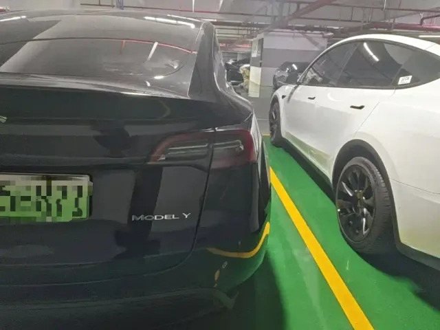 Tesla Model Y — Фото автомобиля 7