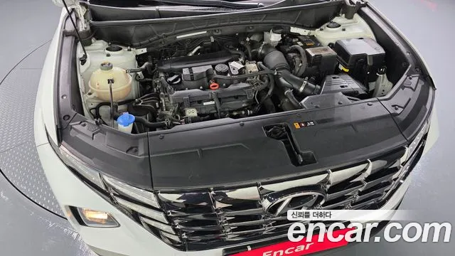 Hyundai Tucson Tucson (NX4) Бензин 1.6 турбо 2WD — Фото автомобиля 6