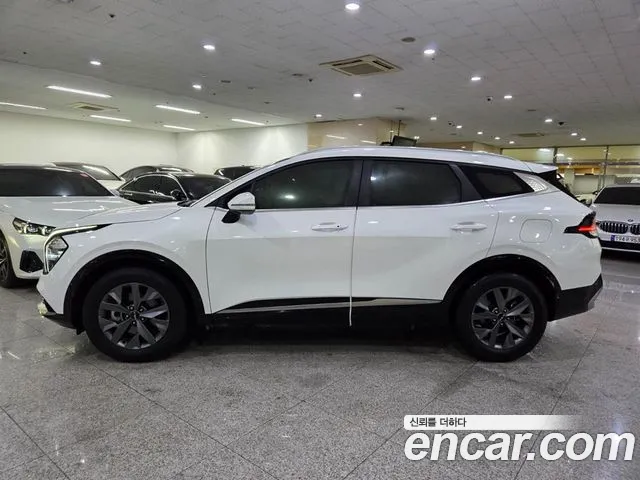 Kia Sportage Generation 5 — Фото автомобиля 3
