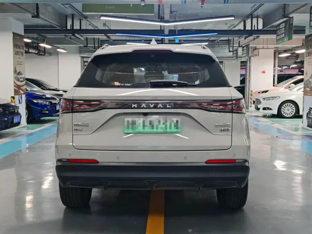 Haval Xiaolong MAX — Фото автомобиля 16