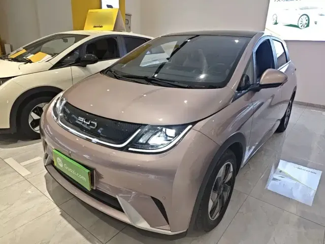 Фотография автомобиля — BYD Dolphin