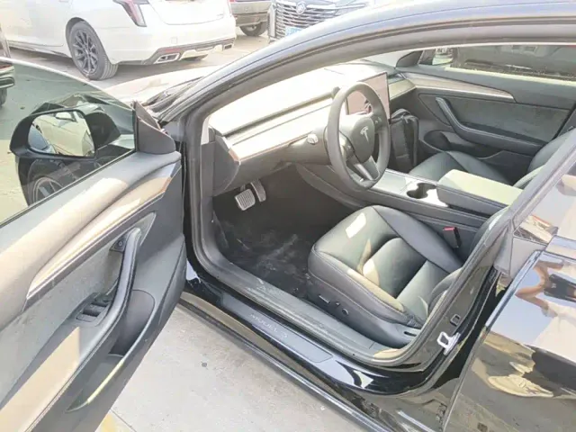 Tesla Model 3 — Фото автомобиля 15
