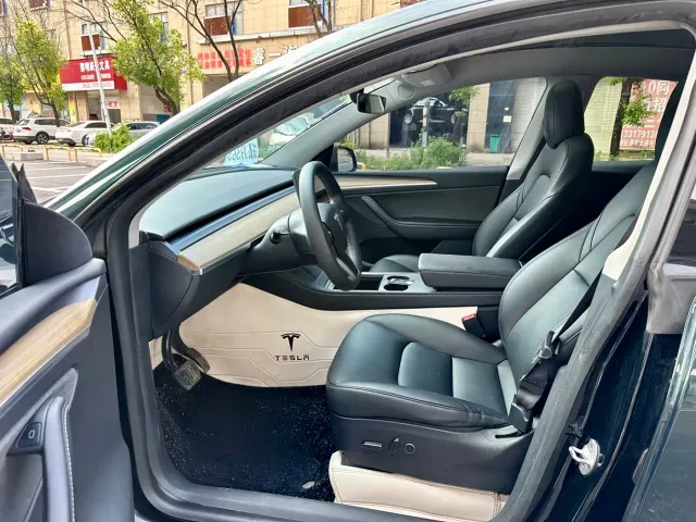 Tesla Model Y — Фото автомобиля 10