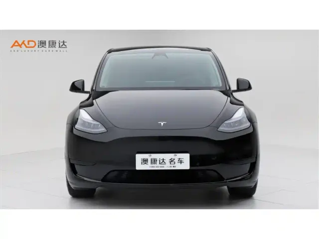 Tesla Model Y — Фото автомобиля 2