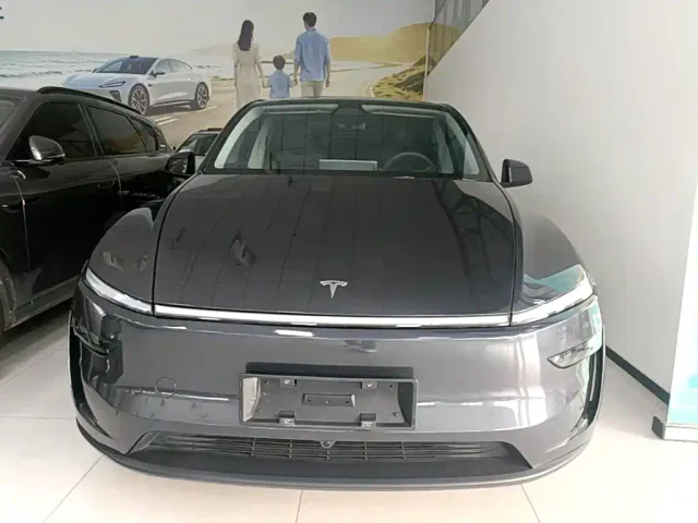Tesla Model Y — Фото автомобиля 2