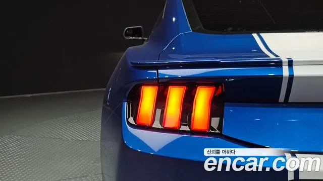 Ford Mustang — Фото автомобиля 22