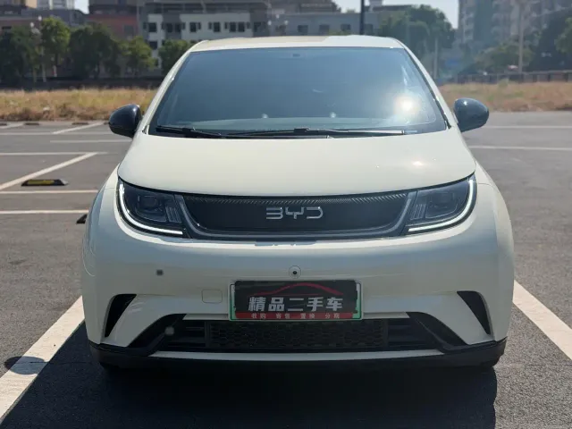 BYD Dolphin — Фото автомобиля 2