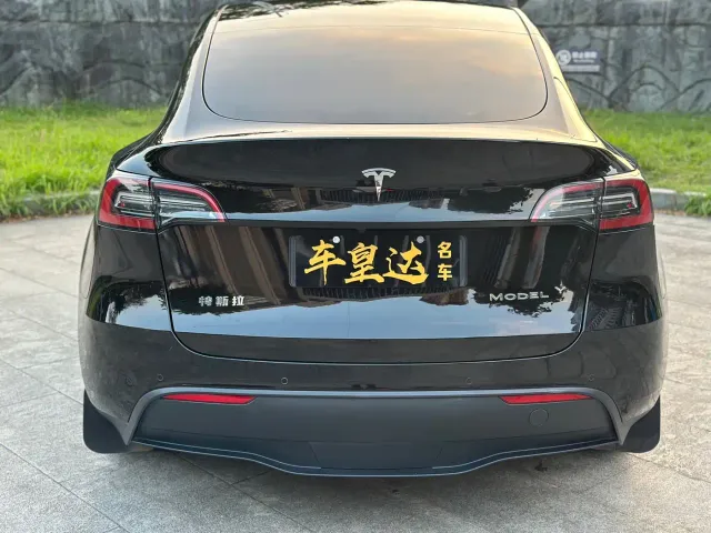 Tesla Model Y — Фото автомобиля 18
