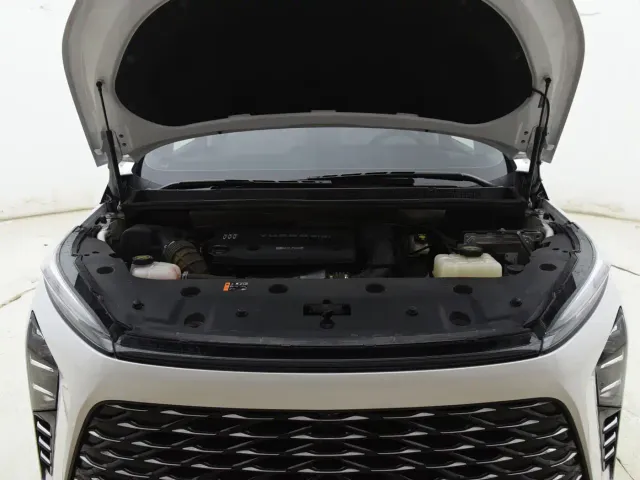 Buick GL8 — Фото автомобиля 15