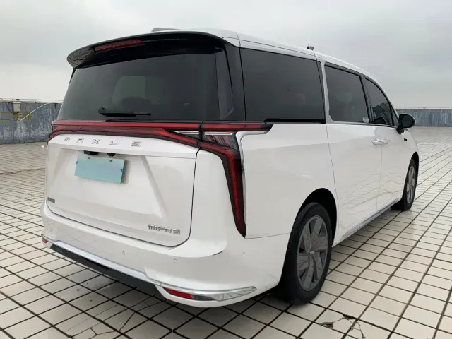 Maxus Dajia 9 — Фото автомобиля 6