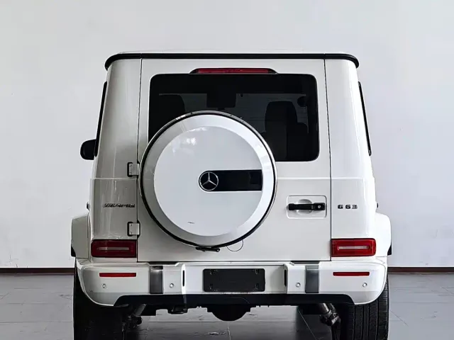 Mercedes-Benz G-Class AMG — Фото автомобиля 14