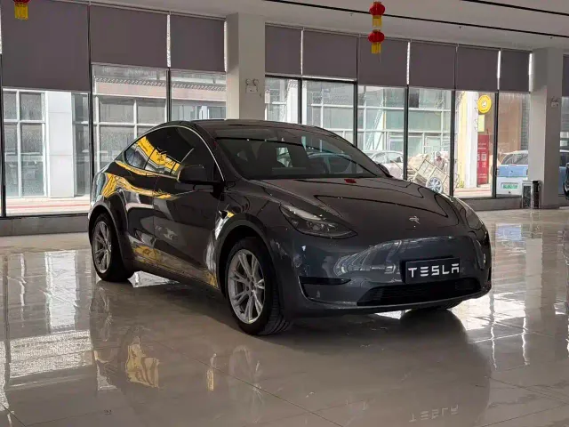 Tesla Model Y — Фото автомобиля 2