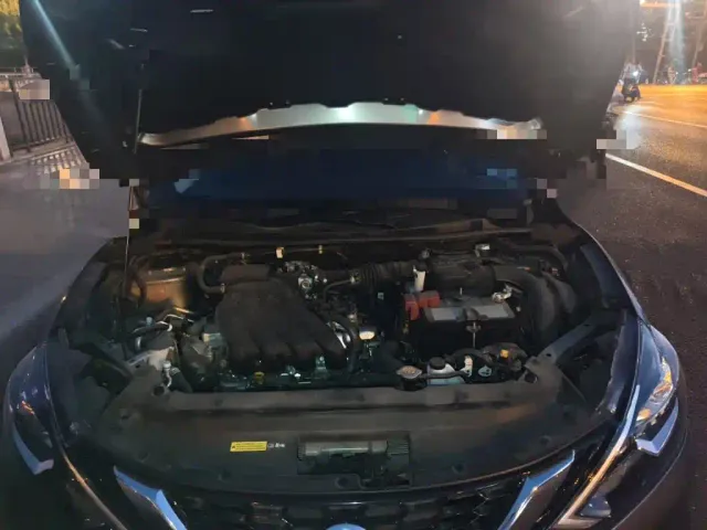 Nissan Sylphy — Фото автомобиля 21