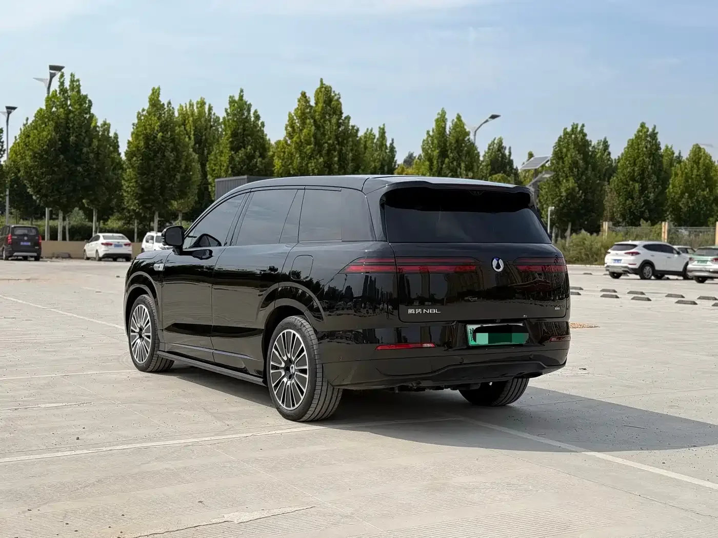 Denza Denza N8L 2025 Standard — Фото автомобиля 7