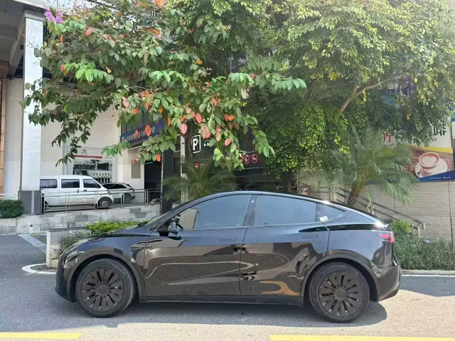 Tesla Model Y — Фото автомобиля 4