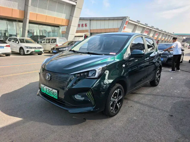 Фотография автомобиля — Changan Benben E-Star