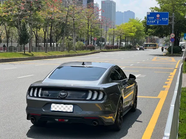 Ford Mustang — Фото автомобиля 17