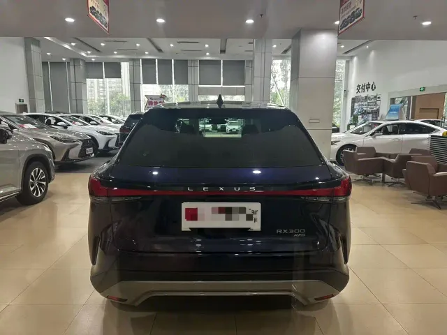 Lexus RX — Фото автомобиля 5