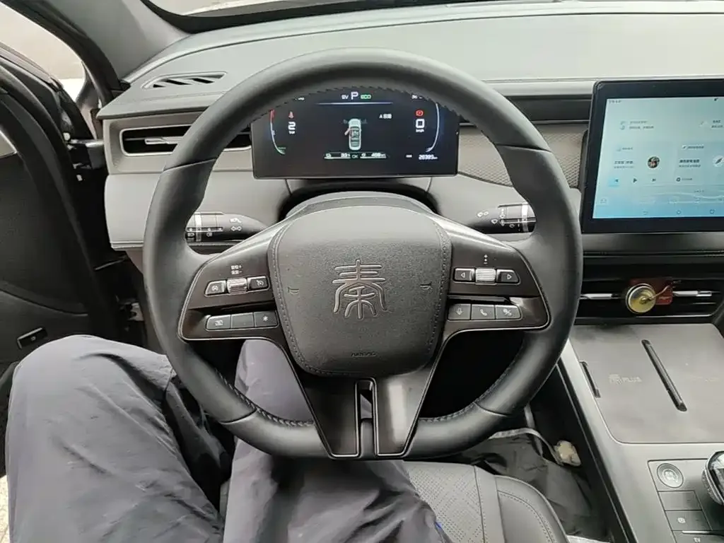 BYD Qin PLUS 2025 DM-i Smart Drive 55KM Leader — Фото автомобиля 10
