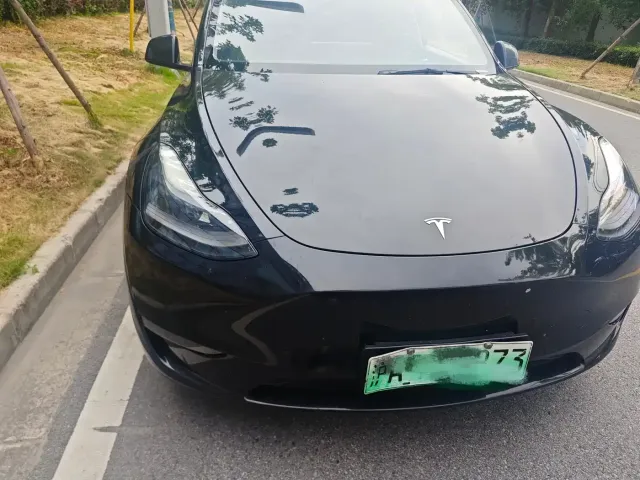 Tesla Model Y — Фото автомобиля 2