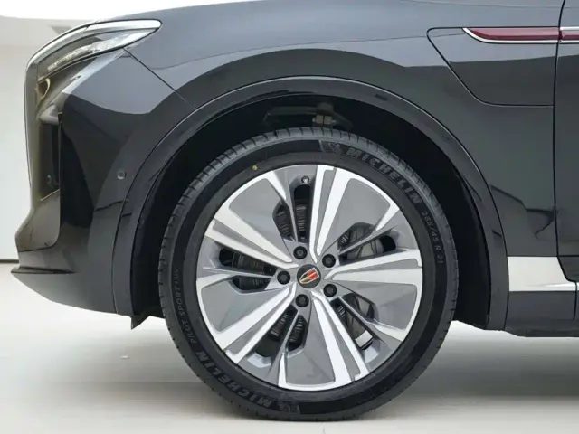 Hongqi E-HS9 — Фото автомобиля 13