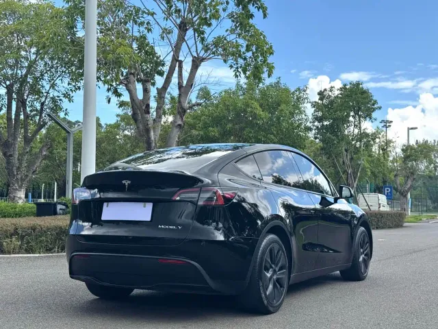 Tesla Model Y — Фото автомобиля 8