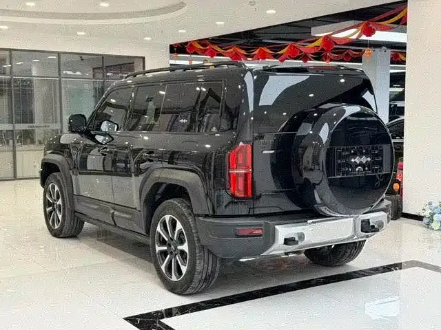 BYD FangChengBao Leopard 5 — Фото автомобиля 4