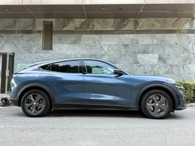 Ford Mustang Mach-E — Фото автомобиля 9