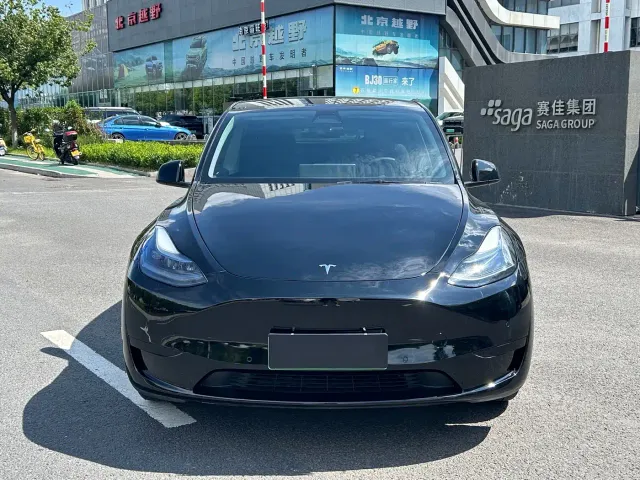 Tesla Model Y — Фото автомобиля 2