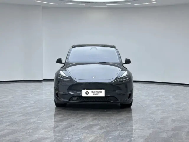 Tesla Model Y — Фото автомобиля 4