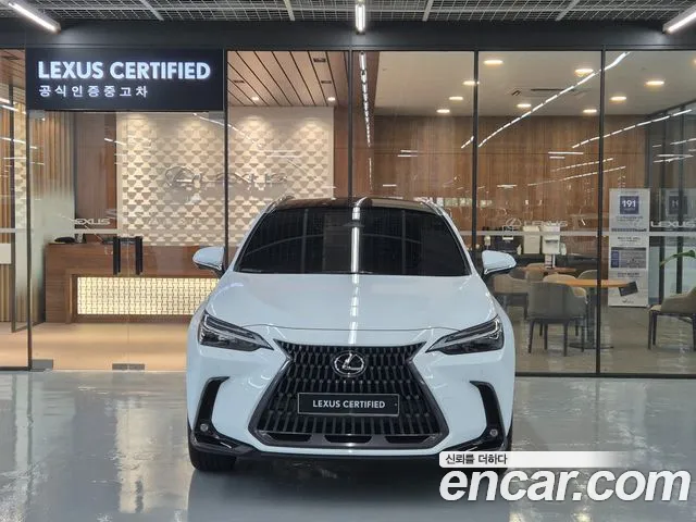 Lexus NX 2nd Gen — Фото автомобиля 3