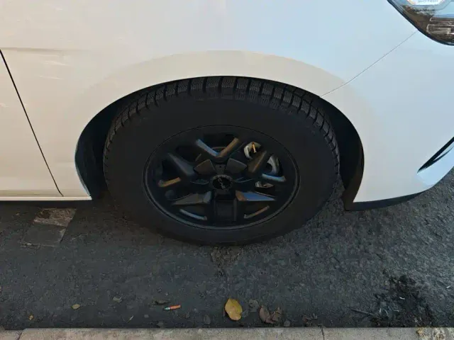 BYD Seal 05 DM-i — Фото автомобиля 6
