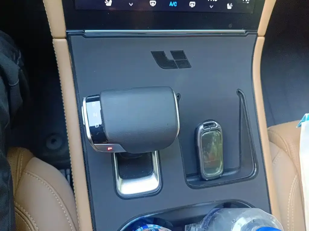 Li Auto Li ONE 2021 Extended Range 6-Seater — Фото автомобиля 17