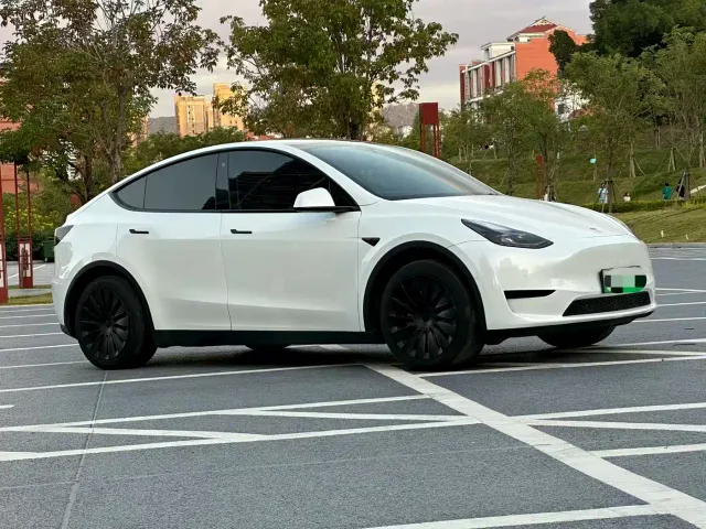 Tesla Model Y — Фото автомобиля 3
