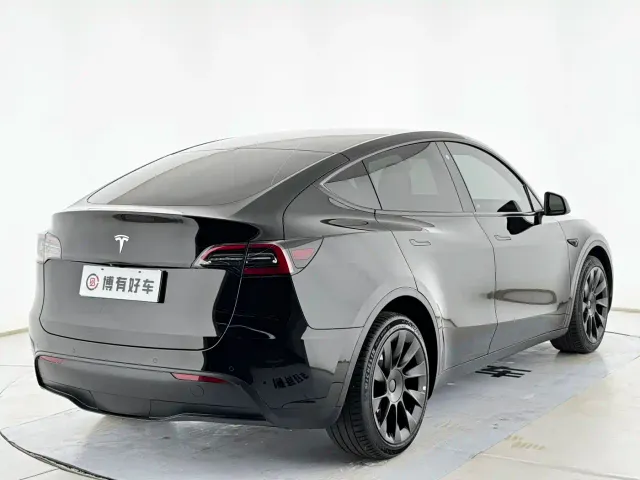Tesla Model Y — Фото автомобиля 9