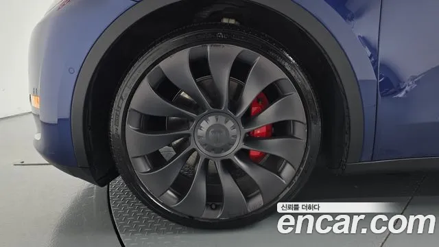 Tesla Model Y — Фото автомобиля 4