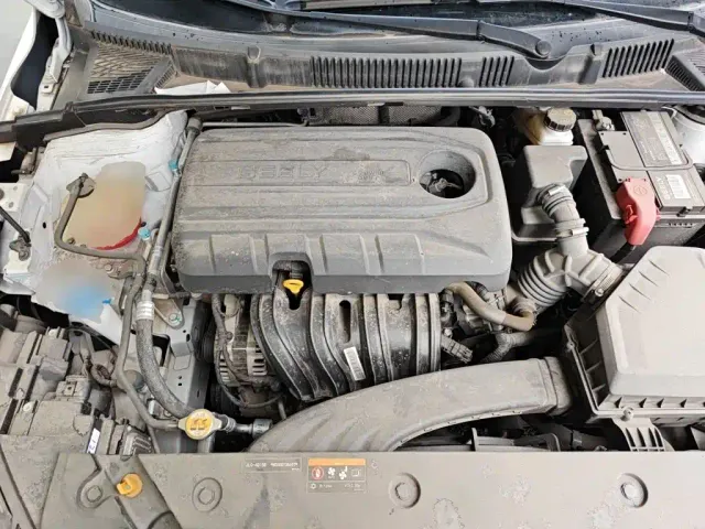 Geely Emgrand — Фото автомобиля 16
