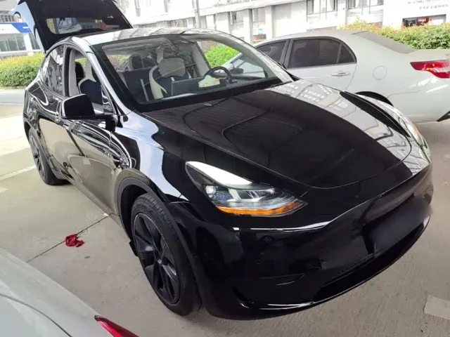 Tesla Model Y — Фото автомобиля 3