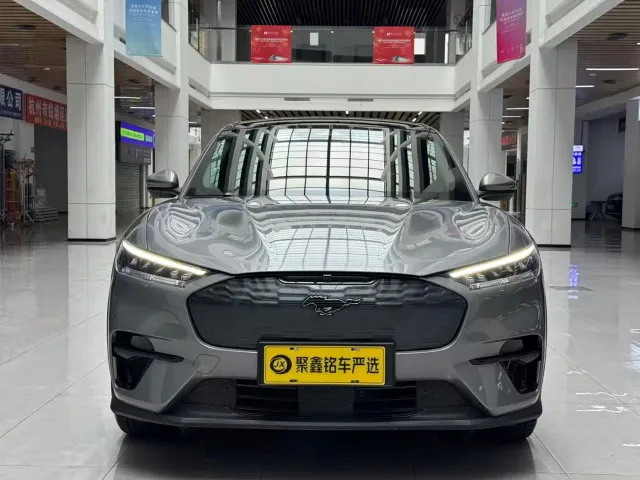 Ford Mustang Mach-E — Фото автомобиля 2