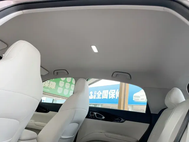 Geely Starry Wish — Фото автомобиля 17