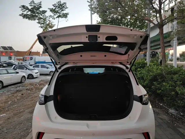 BYD Dolphin — Фото автомобиля 18