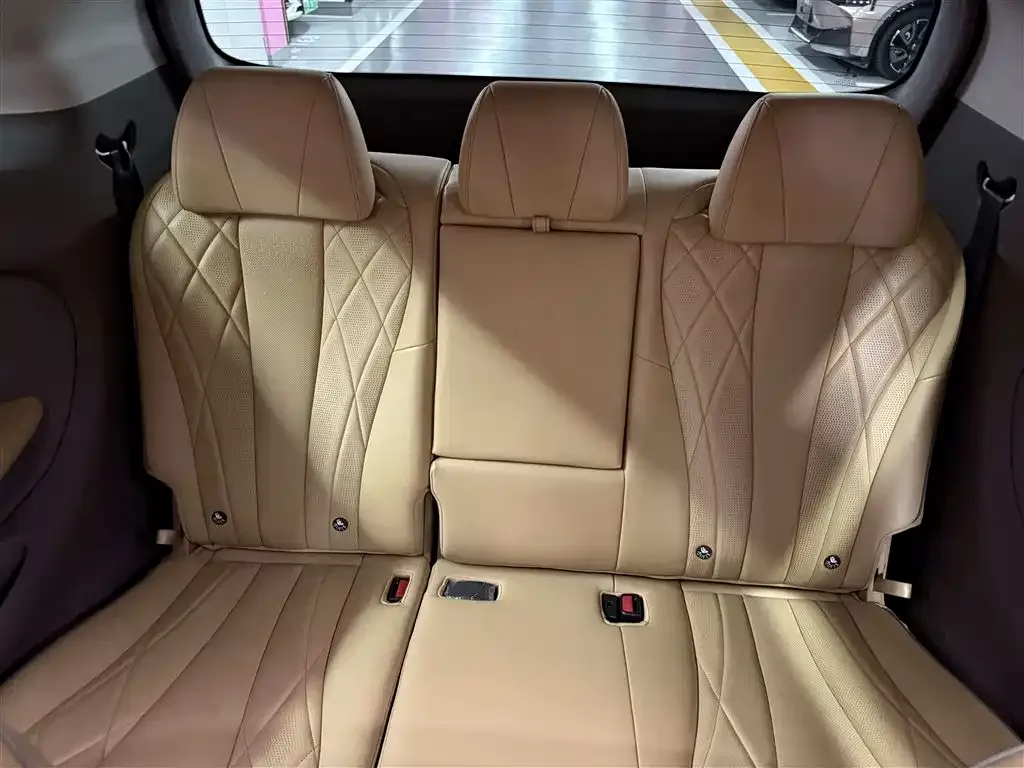 Denza Denza D9 2022 DM-i 970 All-Wheel Drive Honor Edition — Фото автомобиля 23