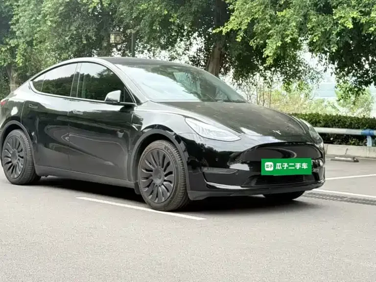 Tesla Model Y 2021 Standard Range Rear-Wheel Drive — Фото автомобиля 3