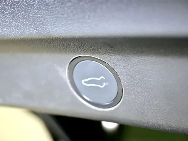 Tesla Model Y — Фото автомобиля 9