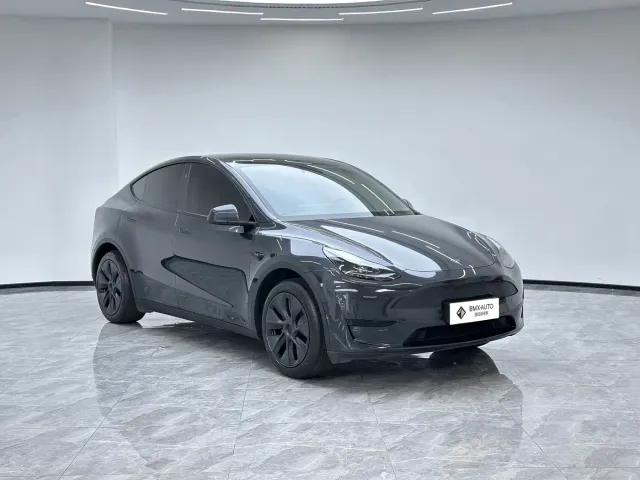 Tesla Model Y — Фото автомобиля 5