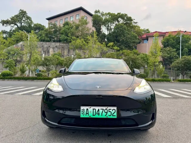 Tesla Model Y — Фото автомобиля 3