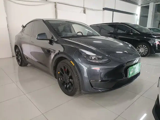 Tesla Model Y — Фото автомобиля 3