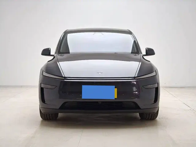 Tesla Model Y — Фото автомобиля 2