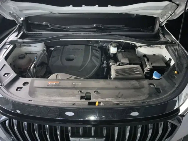 Geely Haoyue L — Фото автомобиля 19